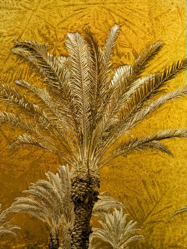 California Palms In Gold