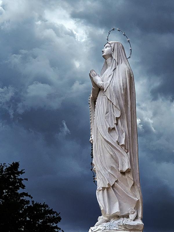 Holly Mother Against Storm Clouds